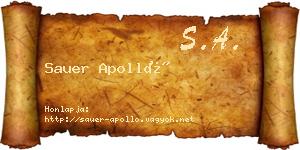 Sauer Apolló névjegykártya